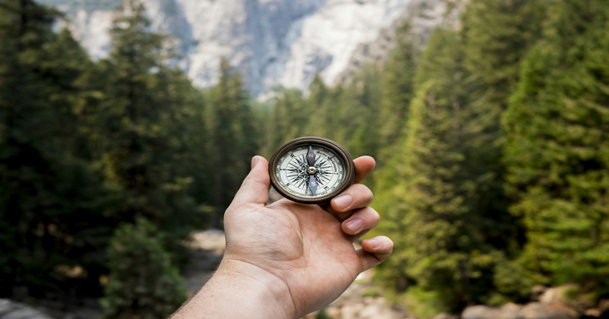 Person holding a compass in a forest, symbolizing strategic direction and forward-looking market analysis
